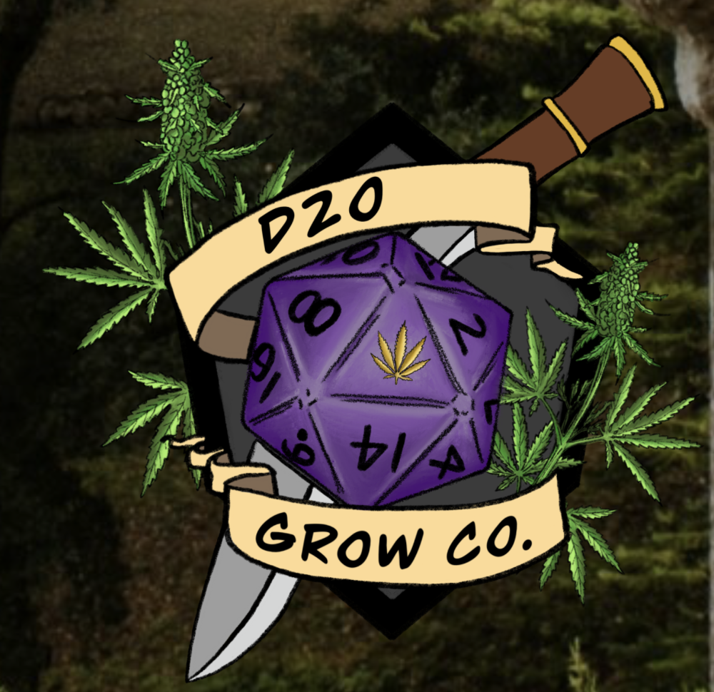 Dungeons and Doobies