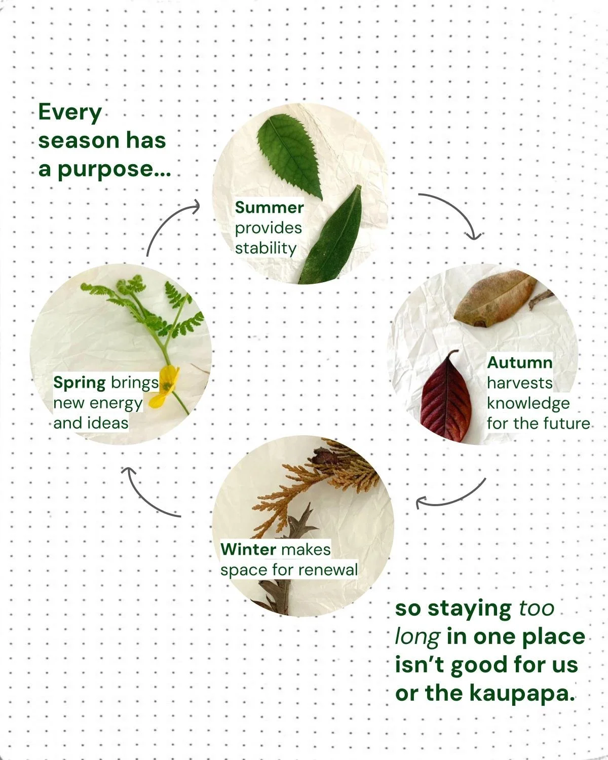 Succession planning for long-term impact (5).jpg