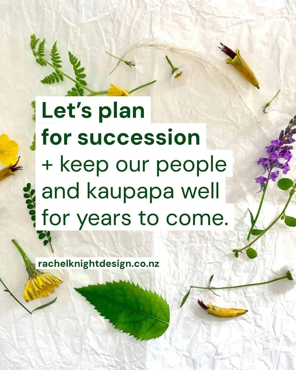 Succession planning for long-term impact (7).jpg