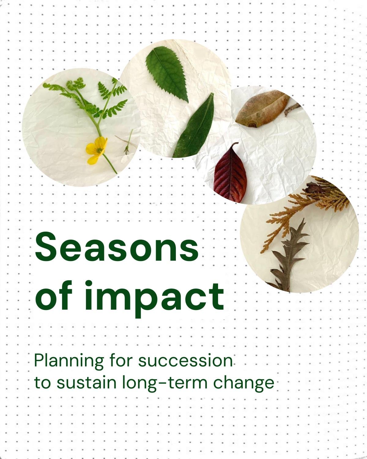 Succession planning for long-term impact.jpg