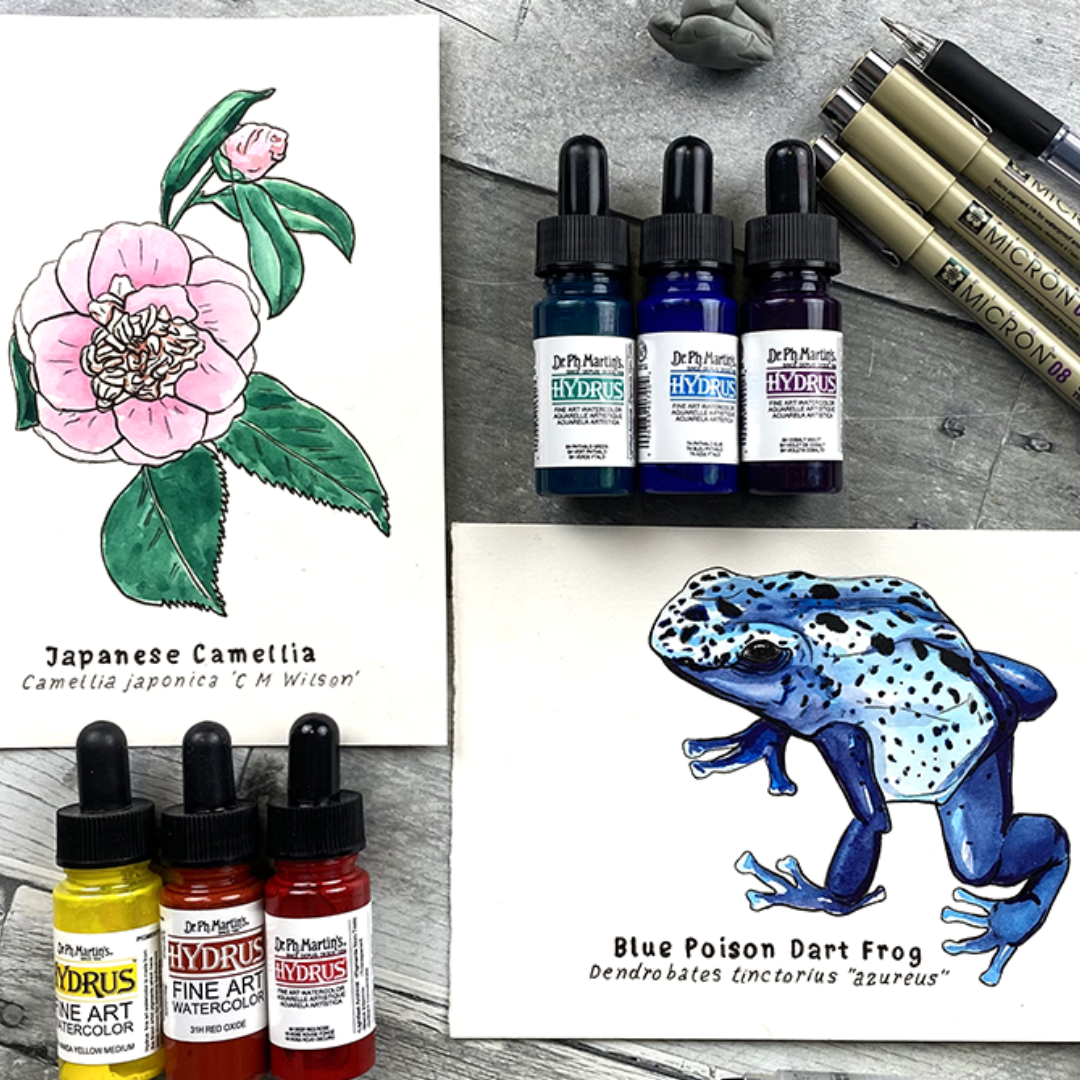 Frog and Camellia.png