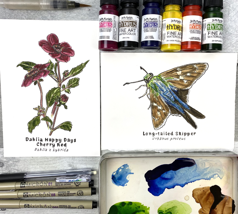 dahlia and skipper.png