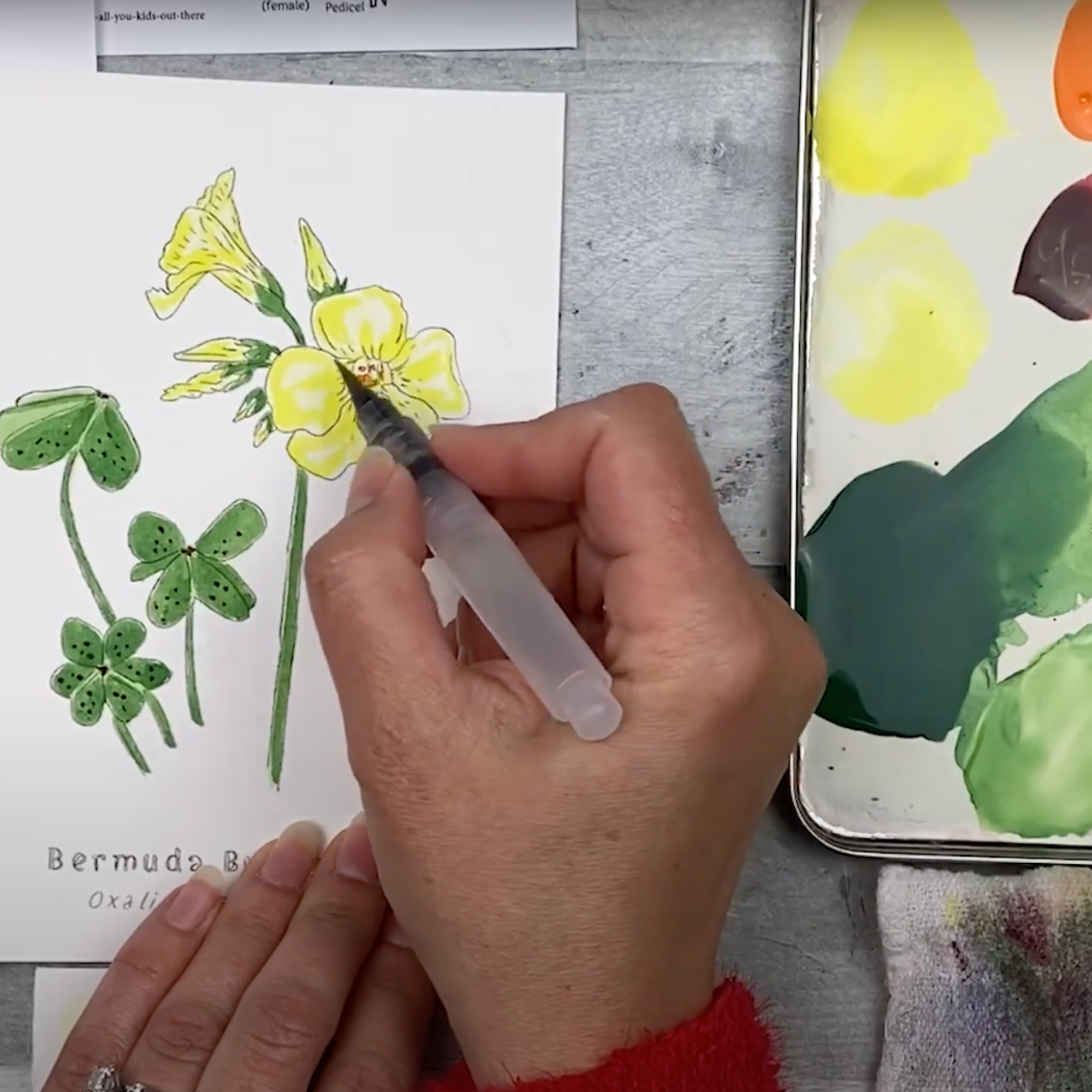Buttercup paint.png