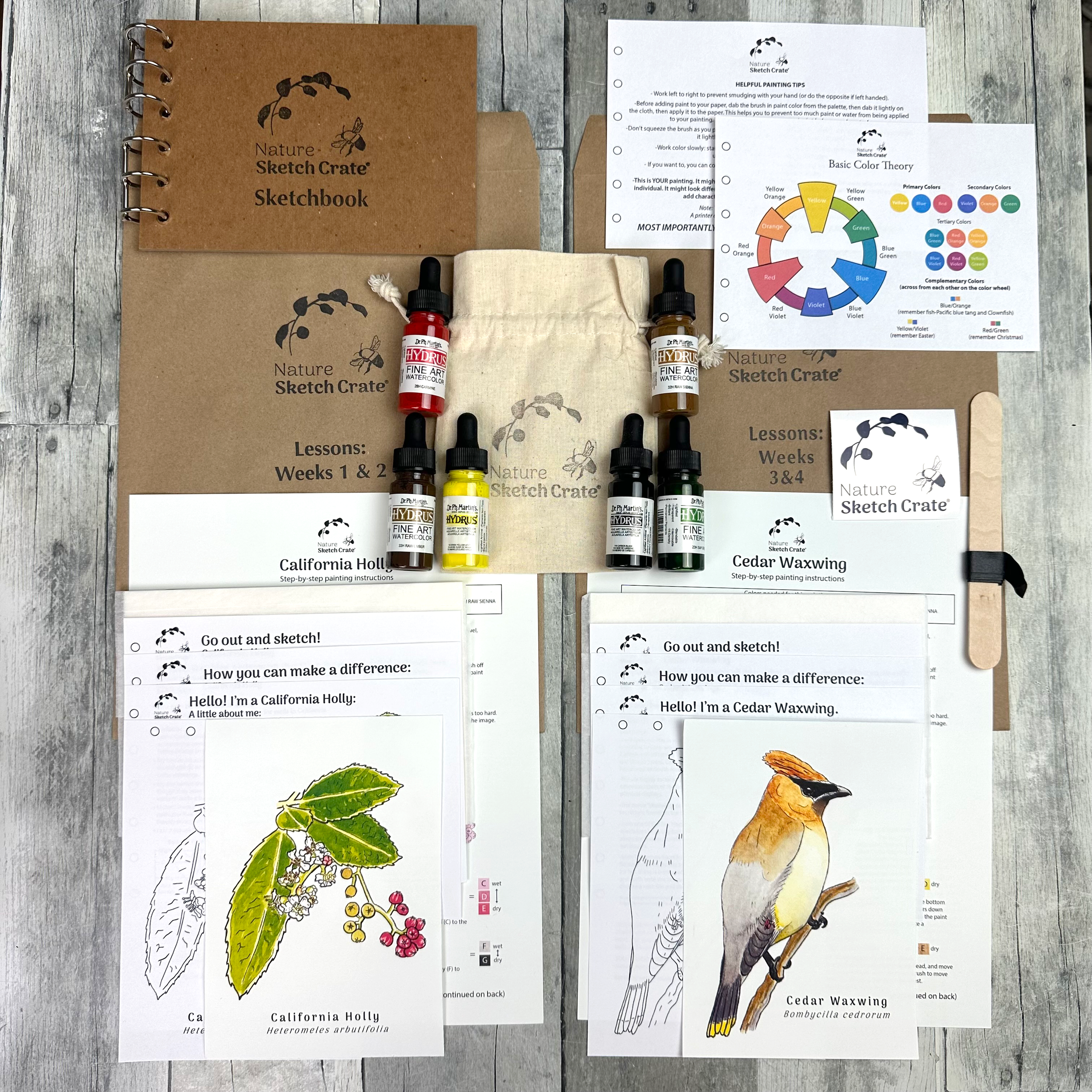 Holly and cedar waxwing lesson contents.png