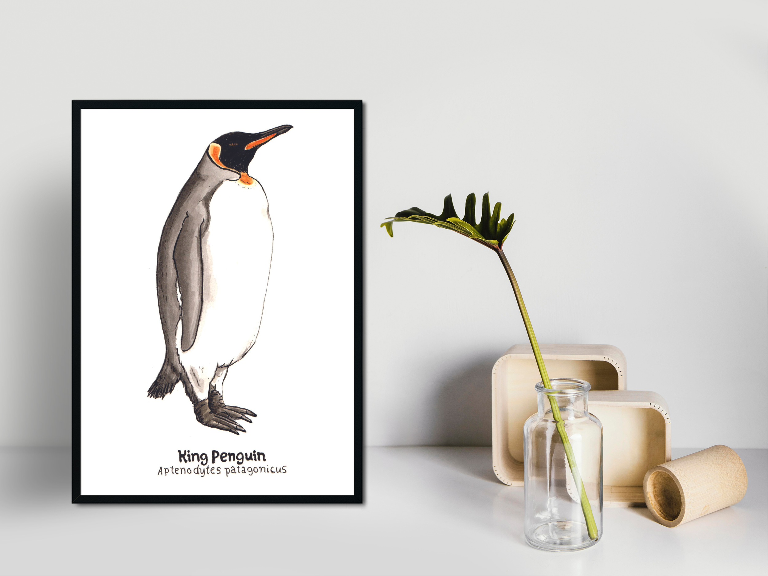 King penguin.png