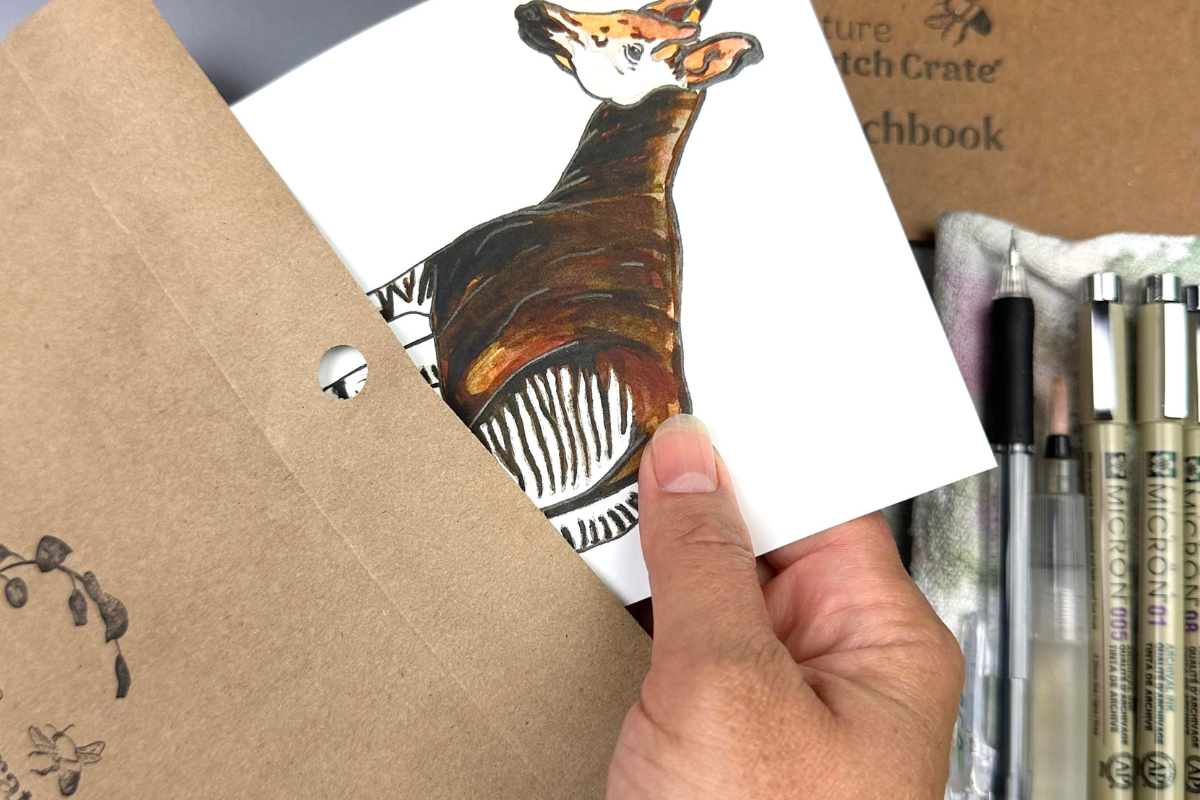 envelope okapi.png