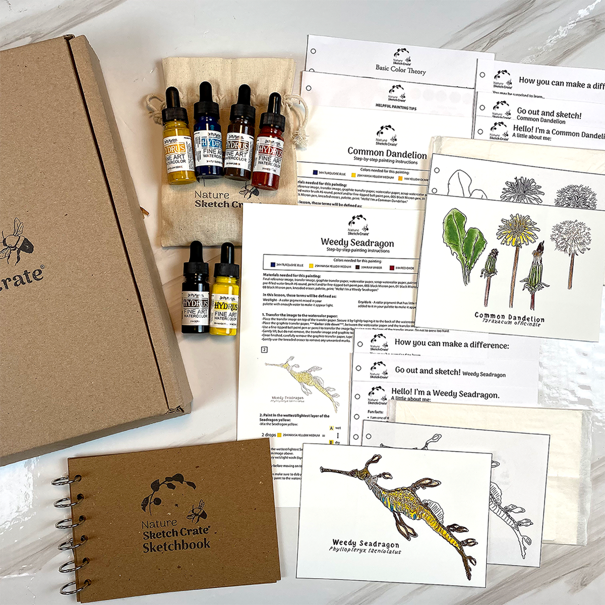 weedy and dandelion.png