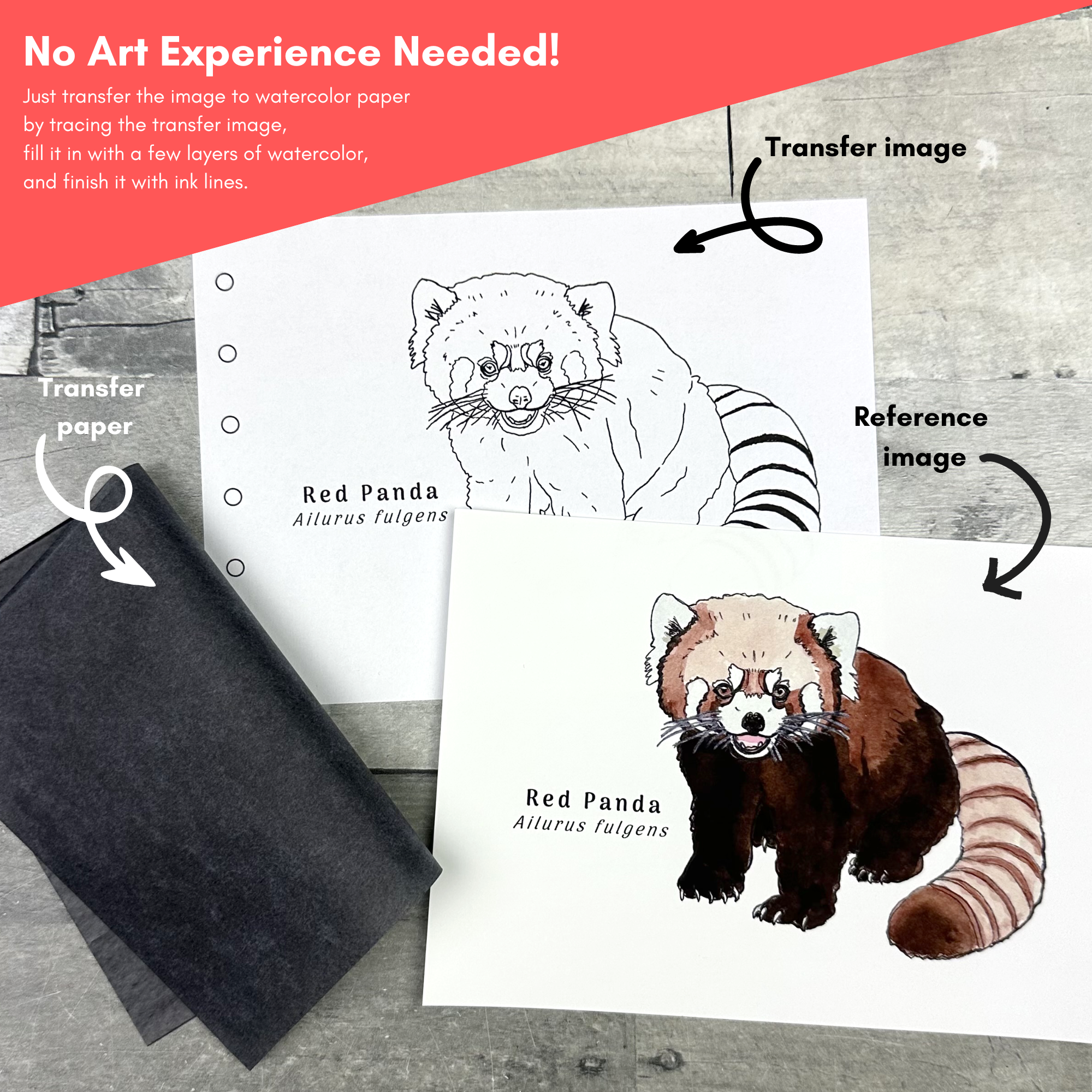 panda easy.png
