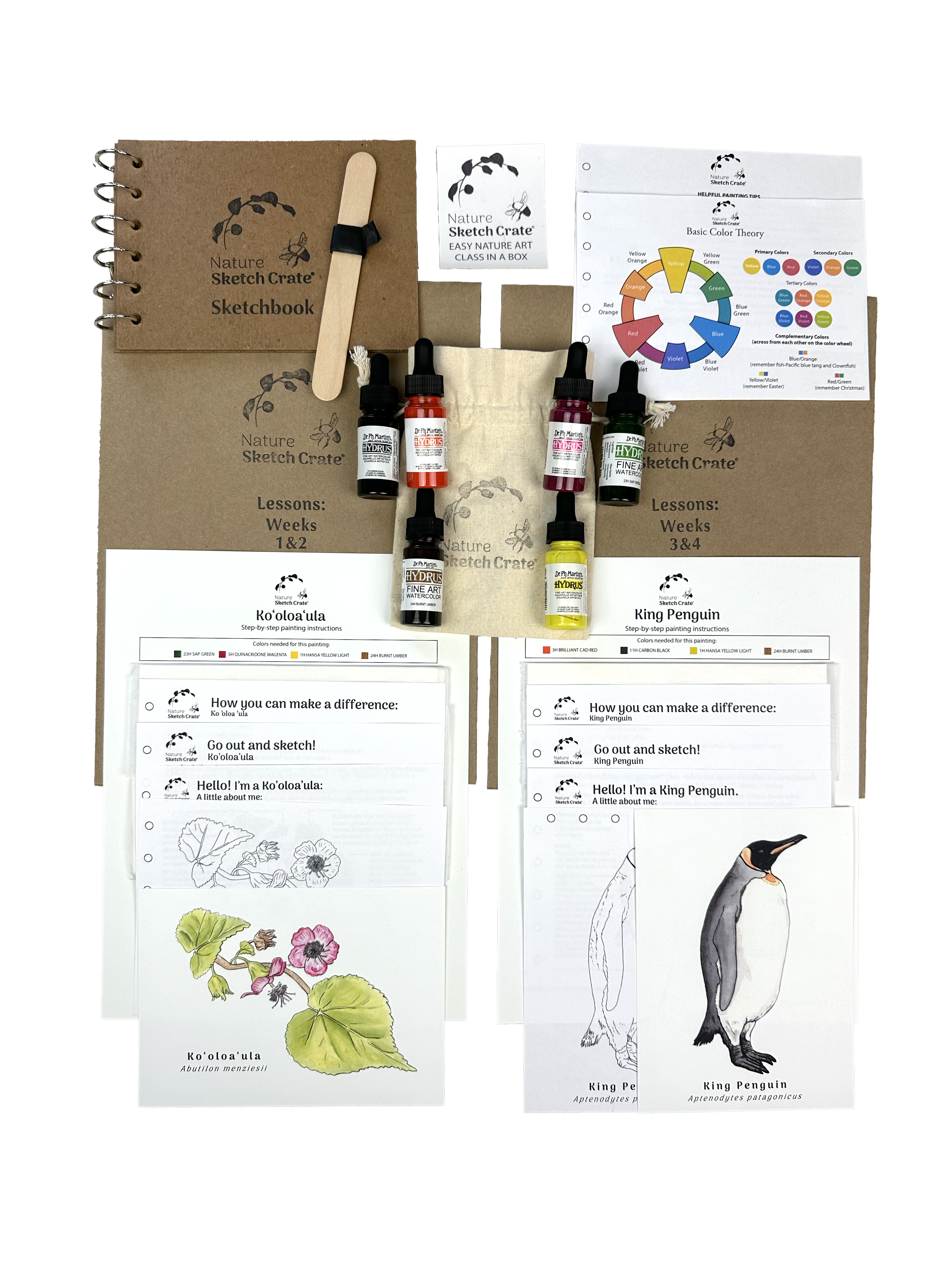Penguin and flower lesson contents.png