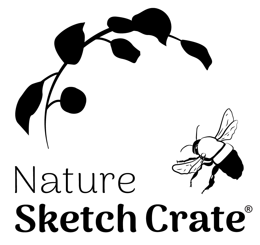 Nature Sketch Crate