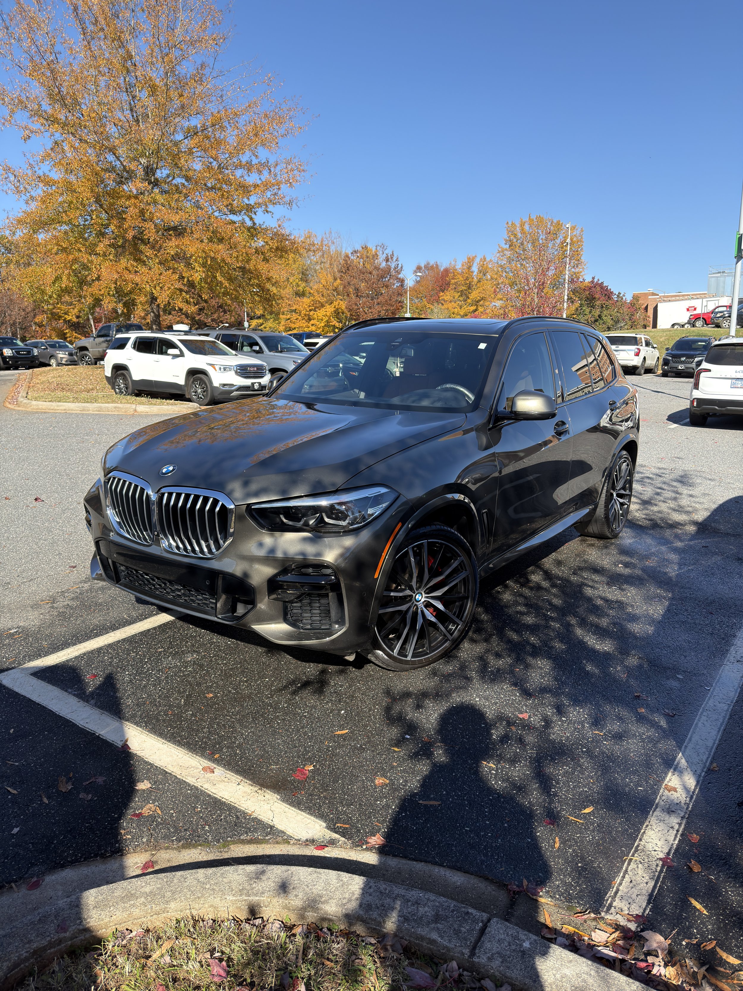 Black BMW SUV parked in a parking lot with fall-colored trees in the background.