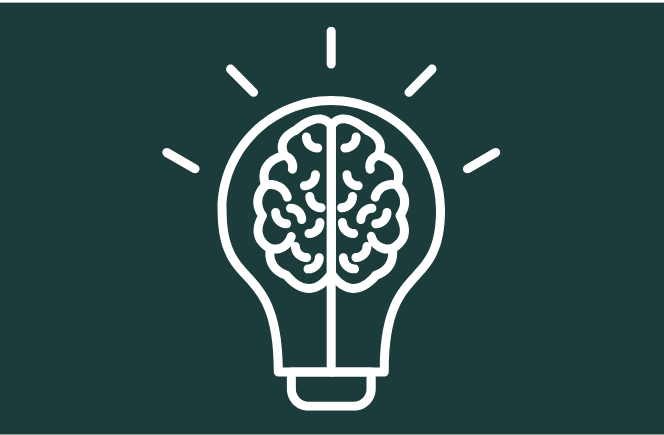 cognitive development