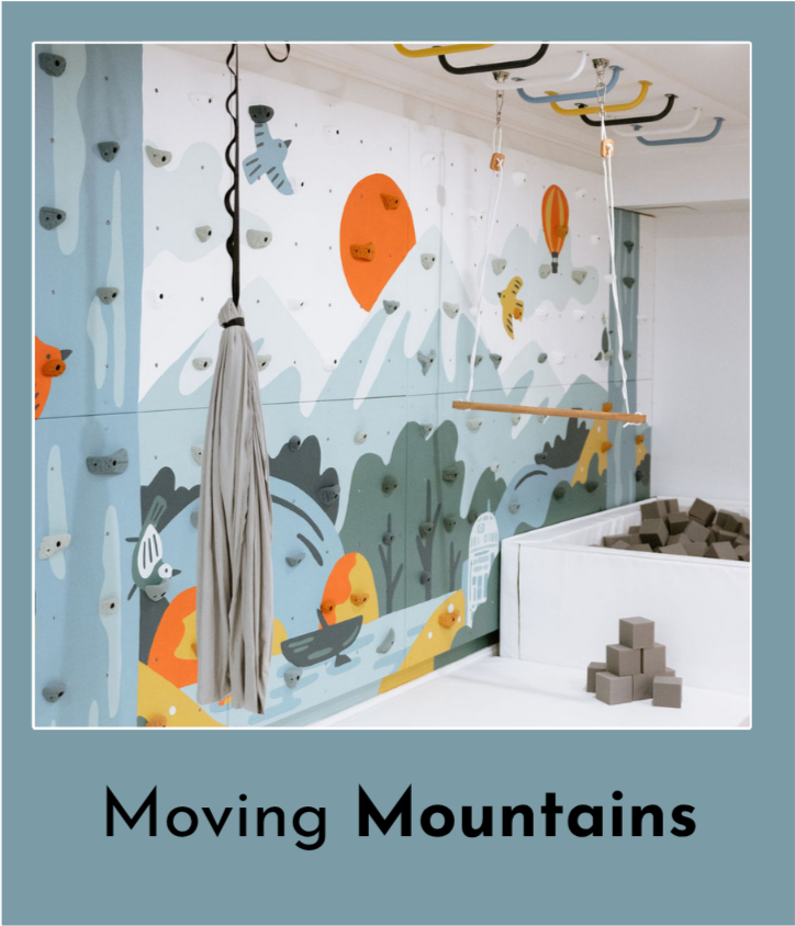 Children's indoor play area with a painted mountain and water scene on the wall, rock climbing holds, a hanging swing, and foam blocks for climbing or playing.