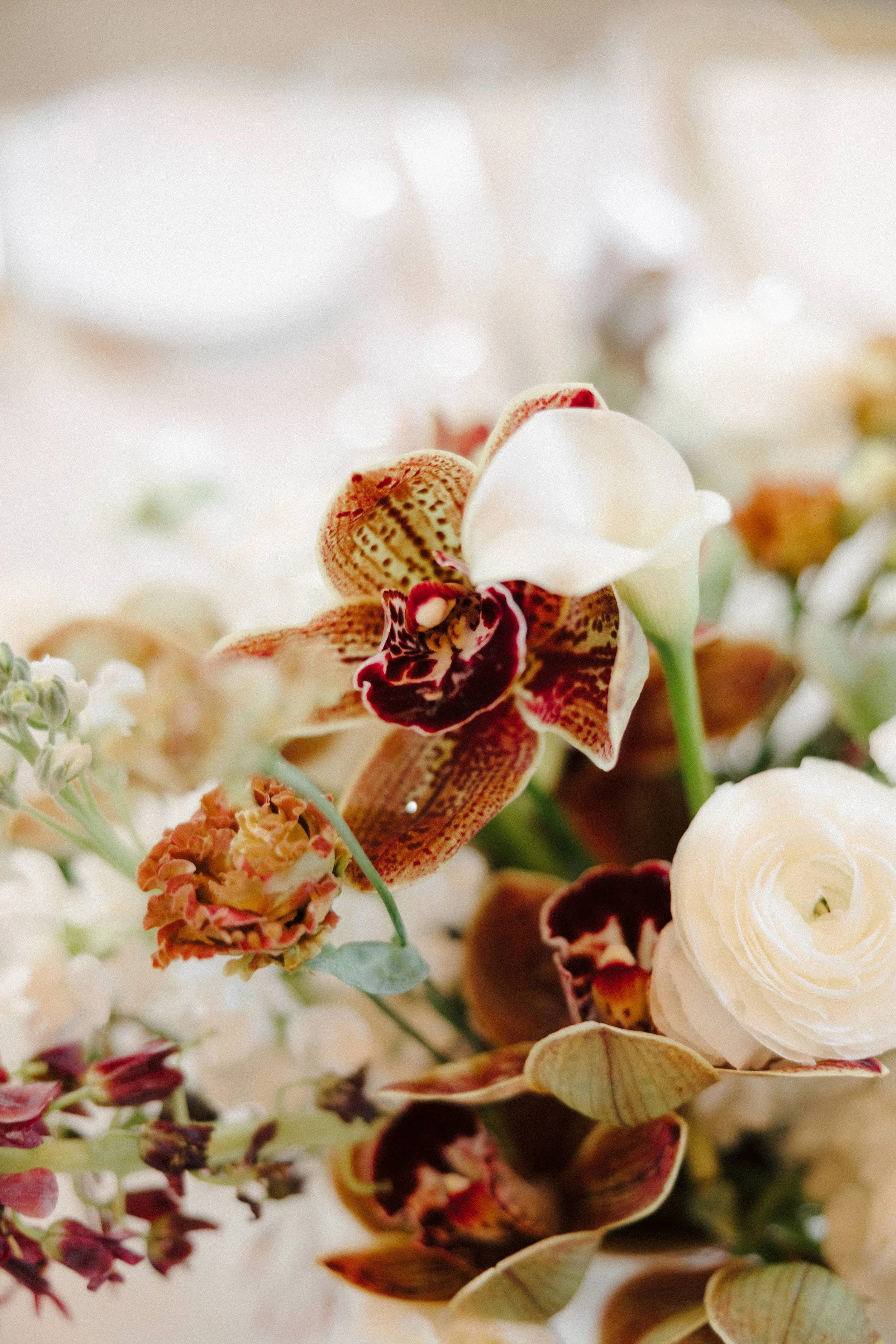 The-Barn-At-Green-Valley-Fairfield-Wedding-Planner