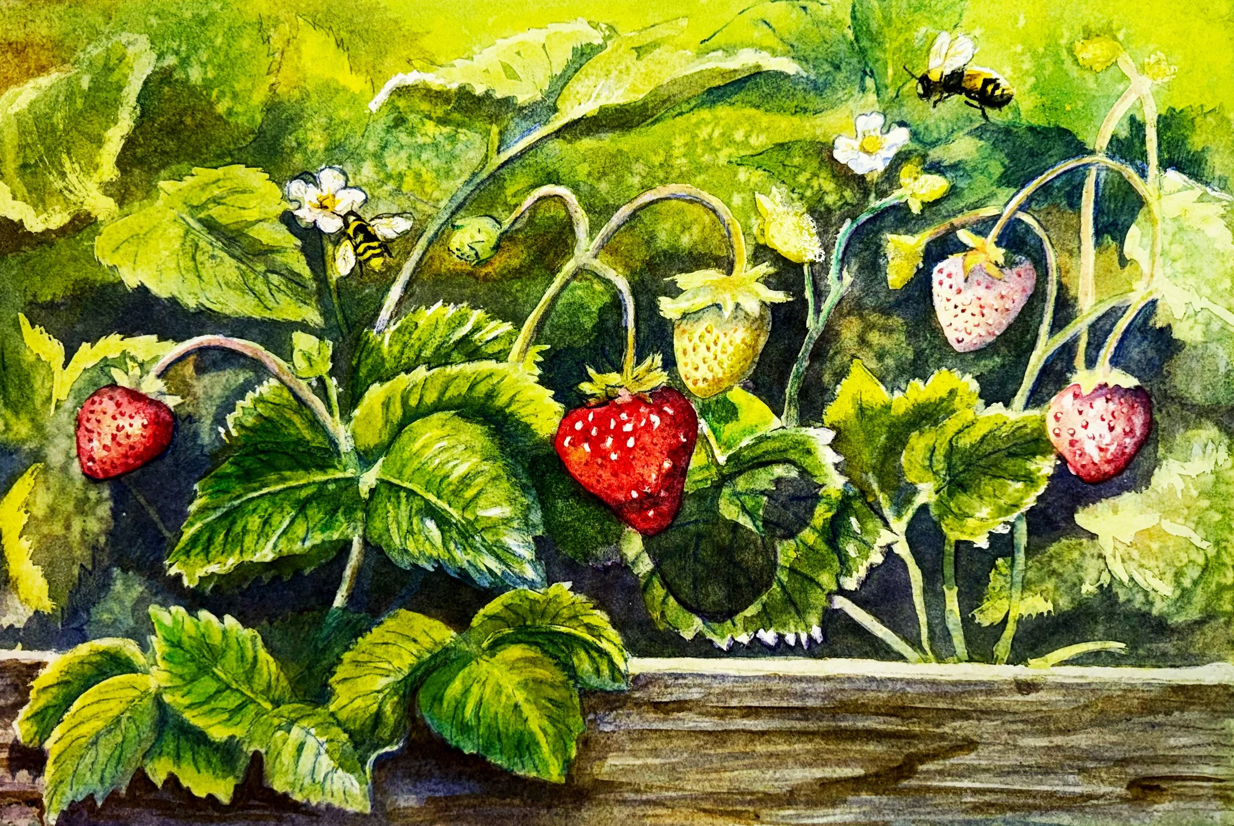 Strawberry Dance.main.jpg