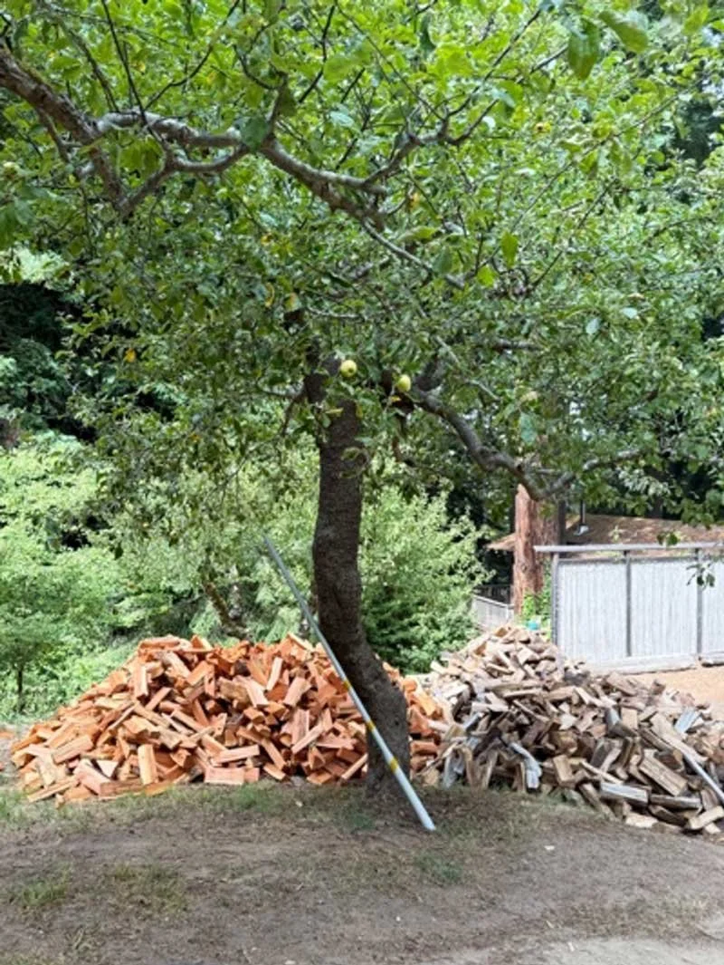 Firewood for winter