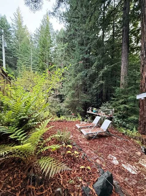 The Butsu patio’s carpet of redwood needles