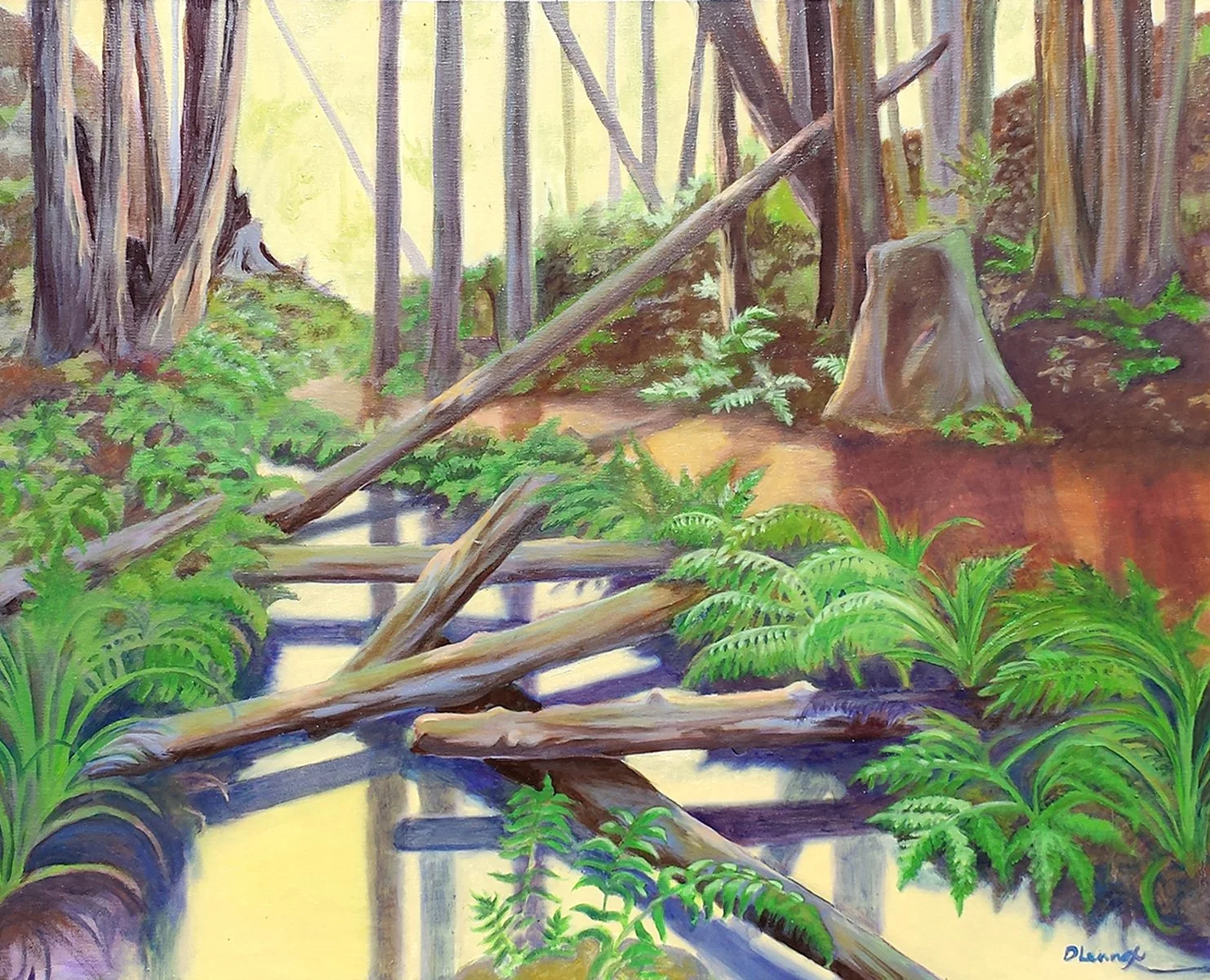 #12 Shinrin-yoku “Forest Bathing”