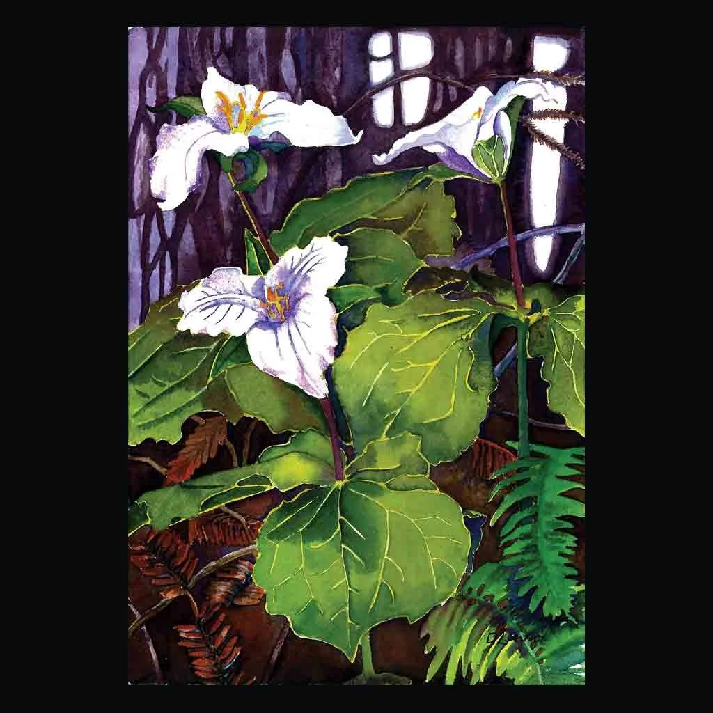 Trilliums.tn.jpg