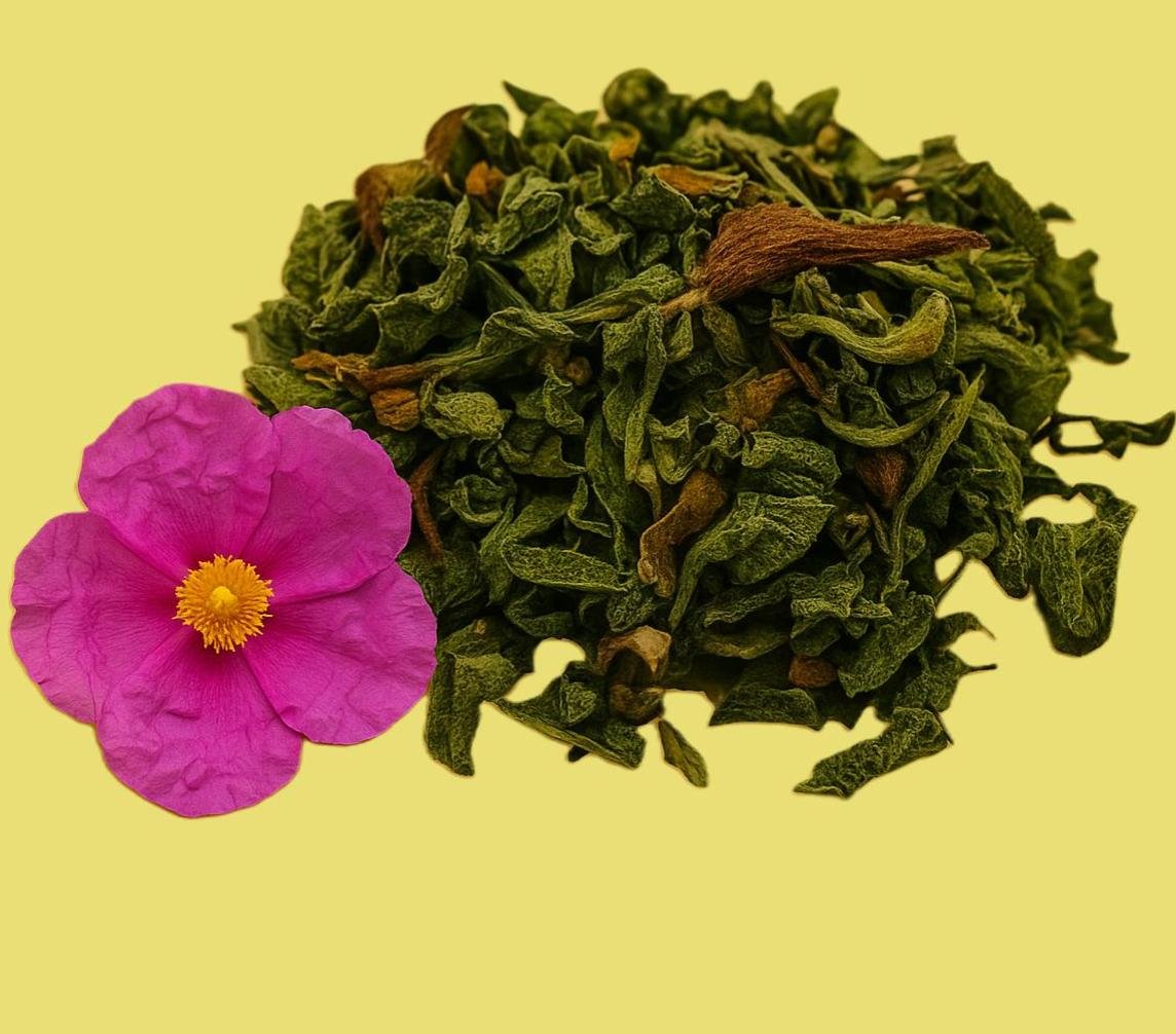 Cistrose – Tee zur Stärkung des Immunsystems