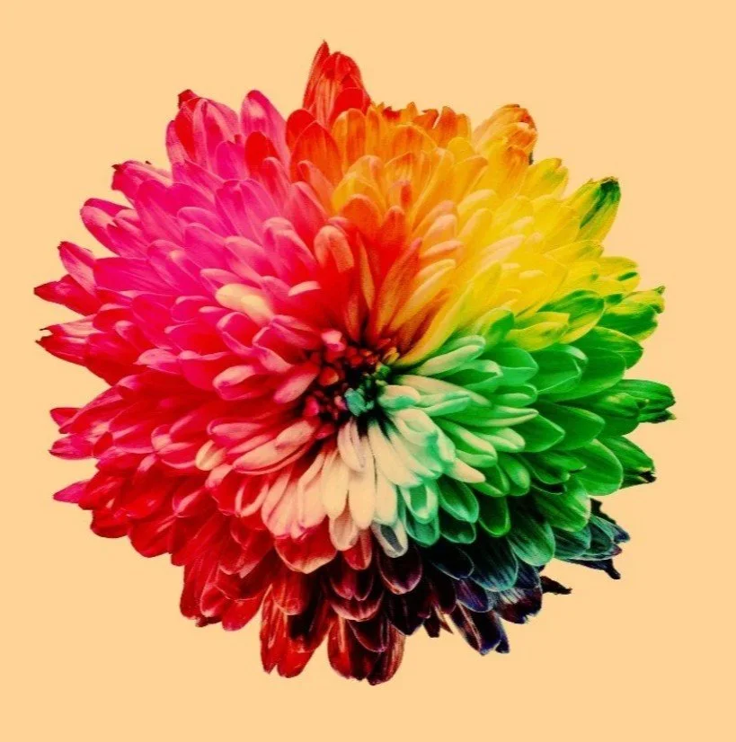 Eine farbintensive, stilisierte Blüte mit fließenden Übergängen von Rot über Orange und Gelb bis hin zu Grün und Blau. Die harmonische Anordnung der Farben erinnert an die 4 Elemente und steht für bewusste Wahrnehmung, Lebendigkeit und innere Balance