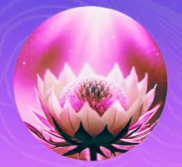 Eine Blüte geht auf. Sie öffnet sich im zarten Licht. Symbol der Selbstliebe.