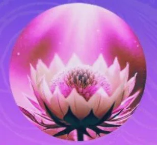 Lotusmotiv in sanften Violett- und Rosétönen als Symbol für Selbstliebe, innere Mitte und achtsame Selbstwahrnehmung.