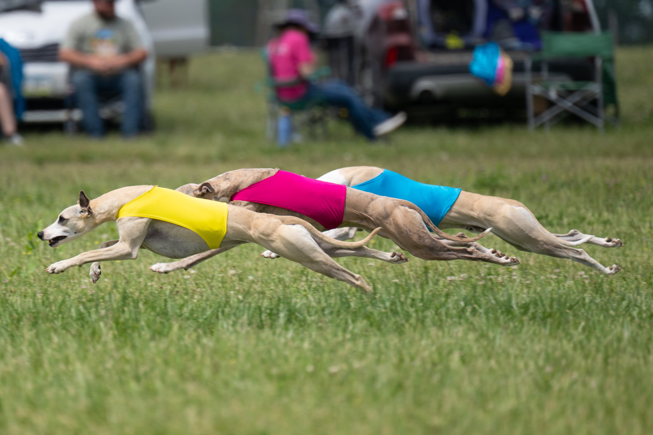 DSC_3839.jpghigh.jpg