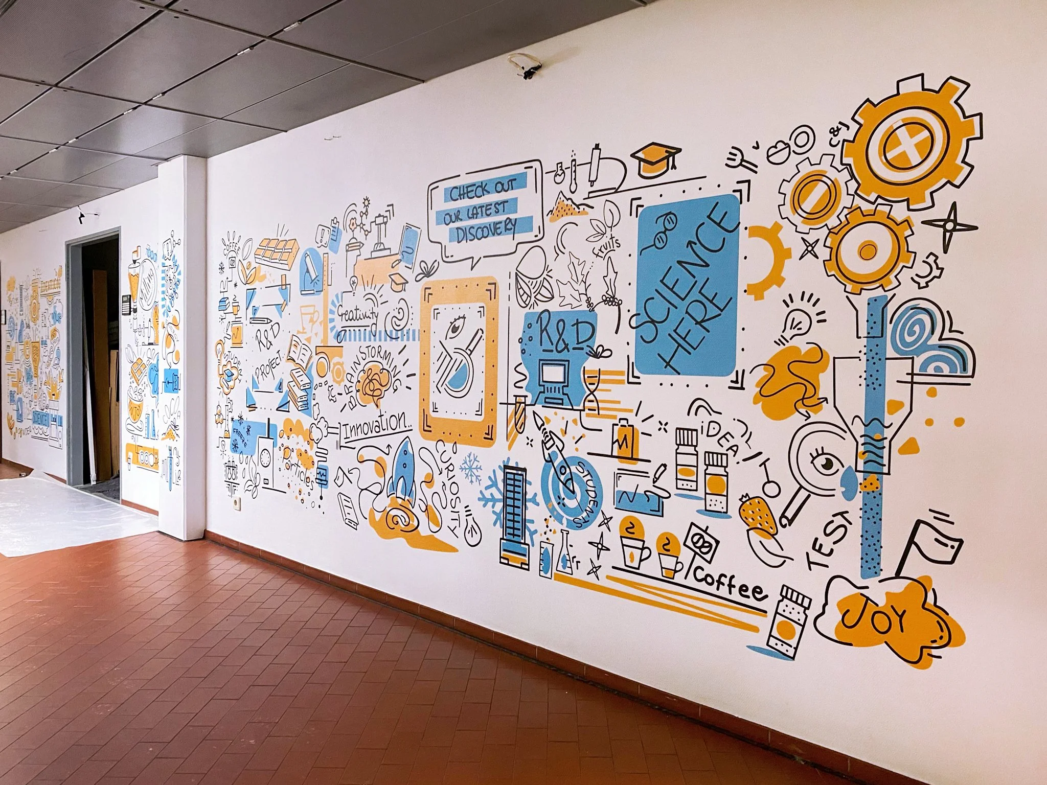 Schools & Universities