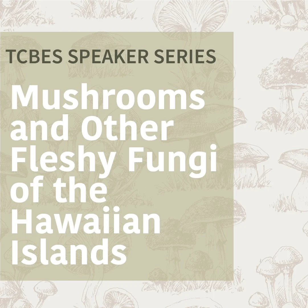 Partner Event: TCBES Speaker Series: Mushrooms and Other Fleshy Fungi of the Hawaiian Islands