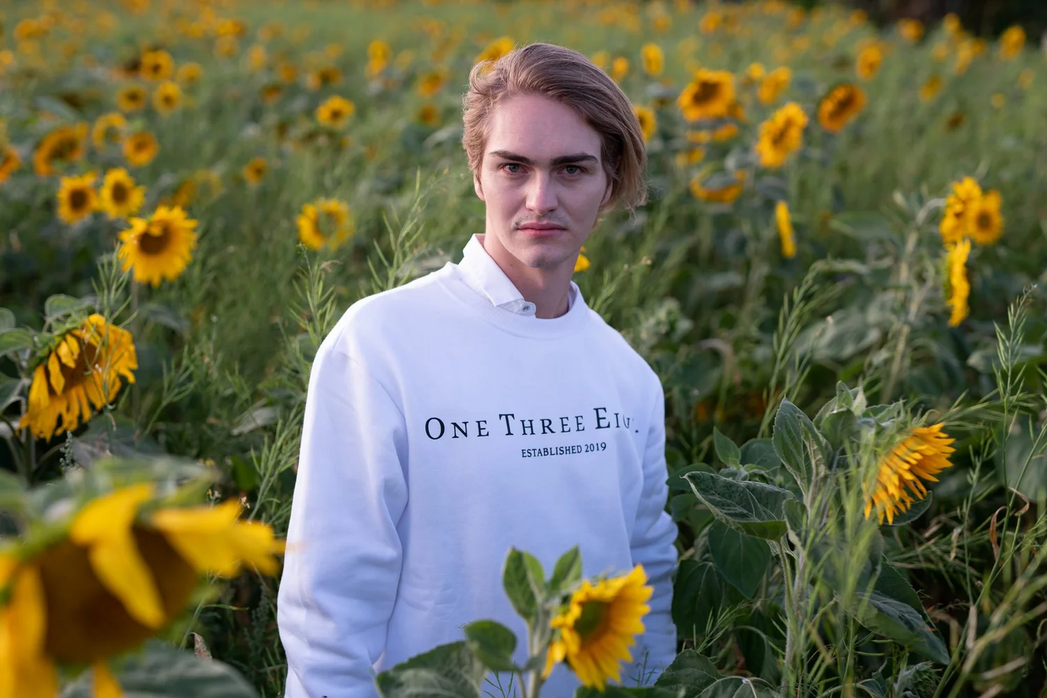 A young man in a white jumper among the sunflowers