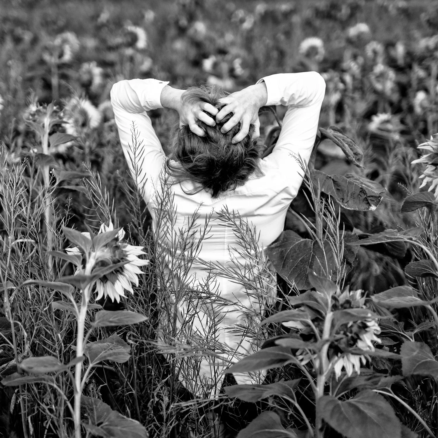 Black and white photo of a model with hands on her head among sunflowers