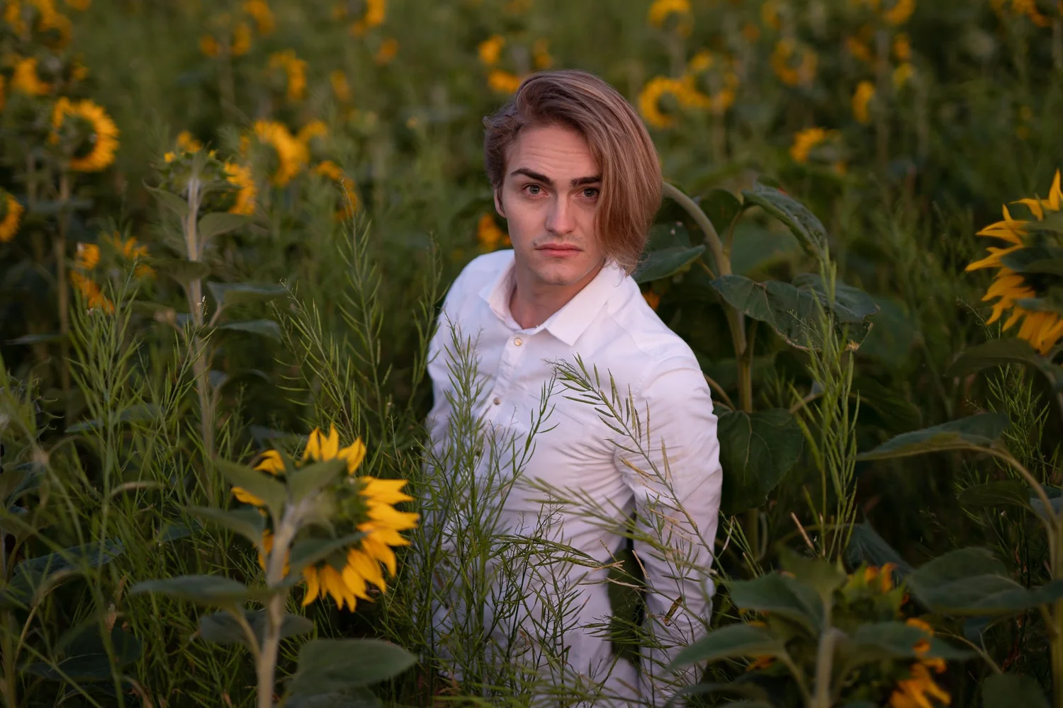 A young man in a white shirt among the sunflowers