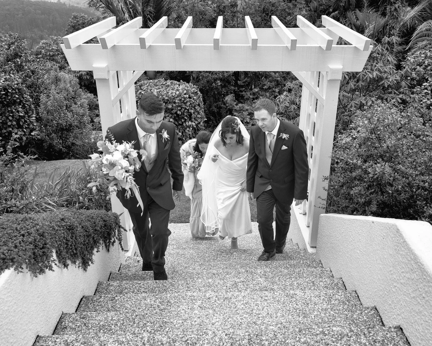 Black and white photo of the wedding party walking up the steps under a pergola