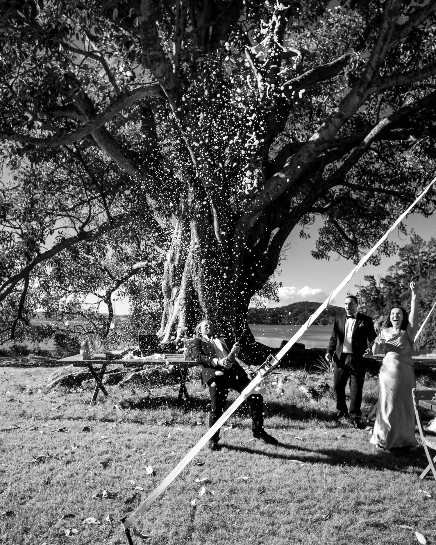 Black and white photo of the couple beneath a huge old tree