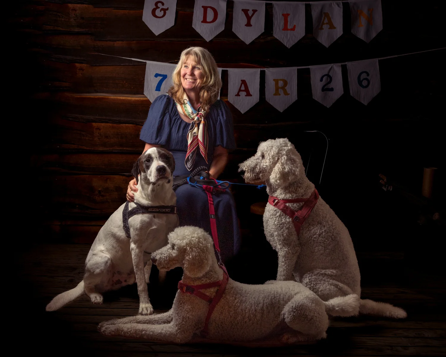 A guest seated with three large white dogs