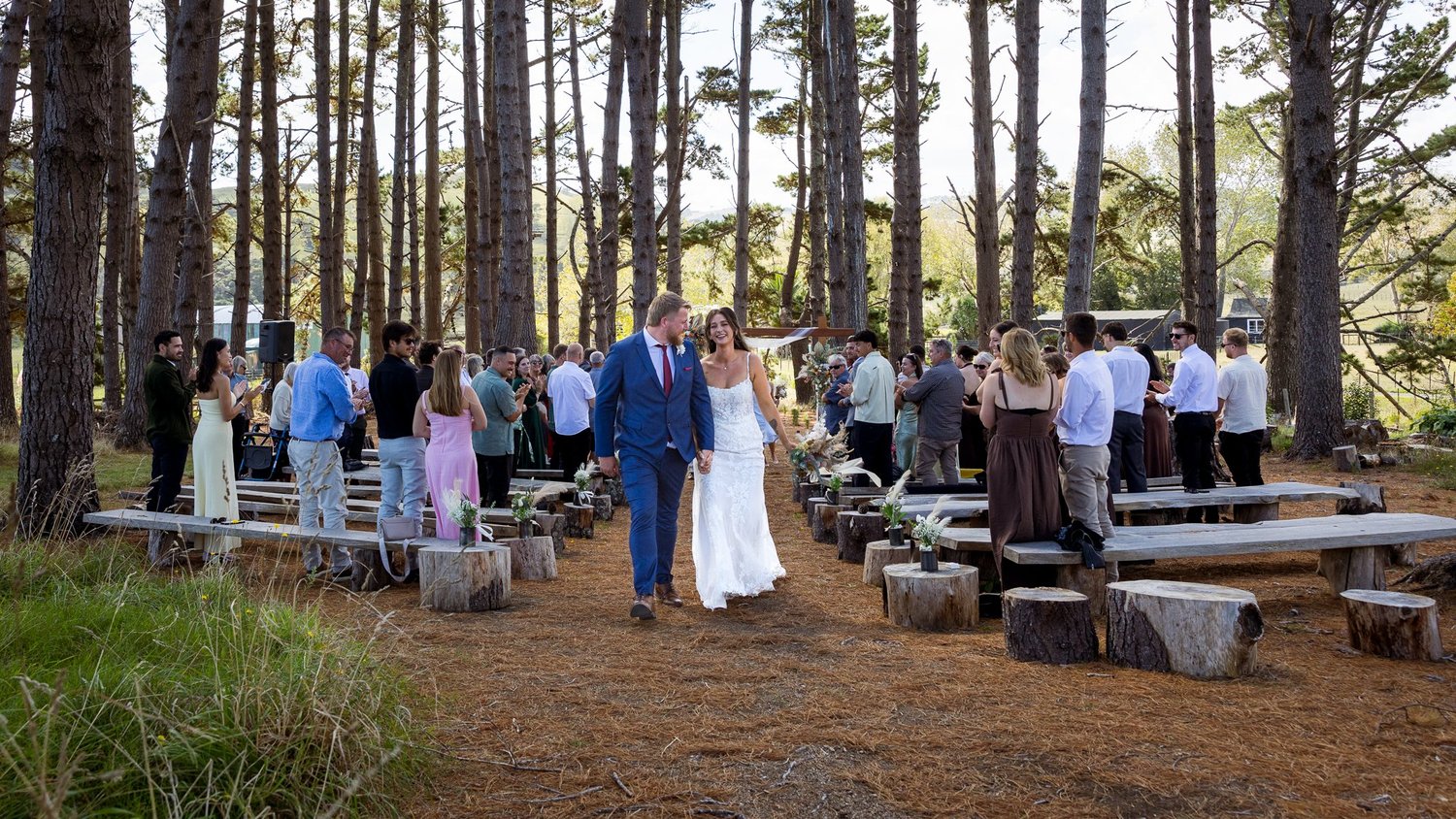 The ceremony among the pine trees