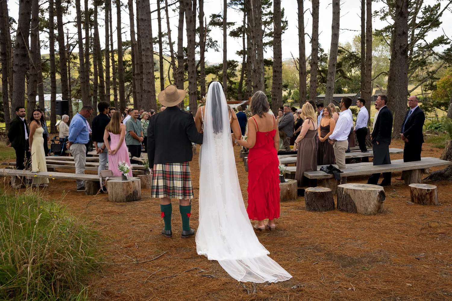 Tay walks down the aisle between the pines
