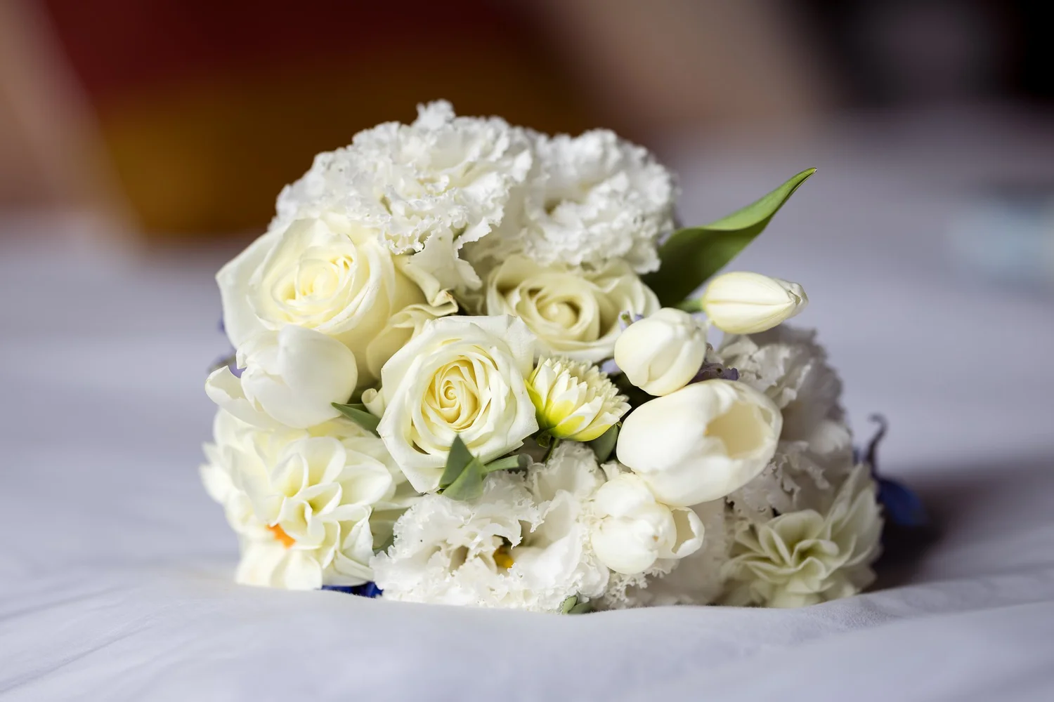 Auckland wedding photograph 23 of 29