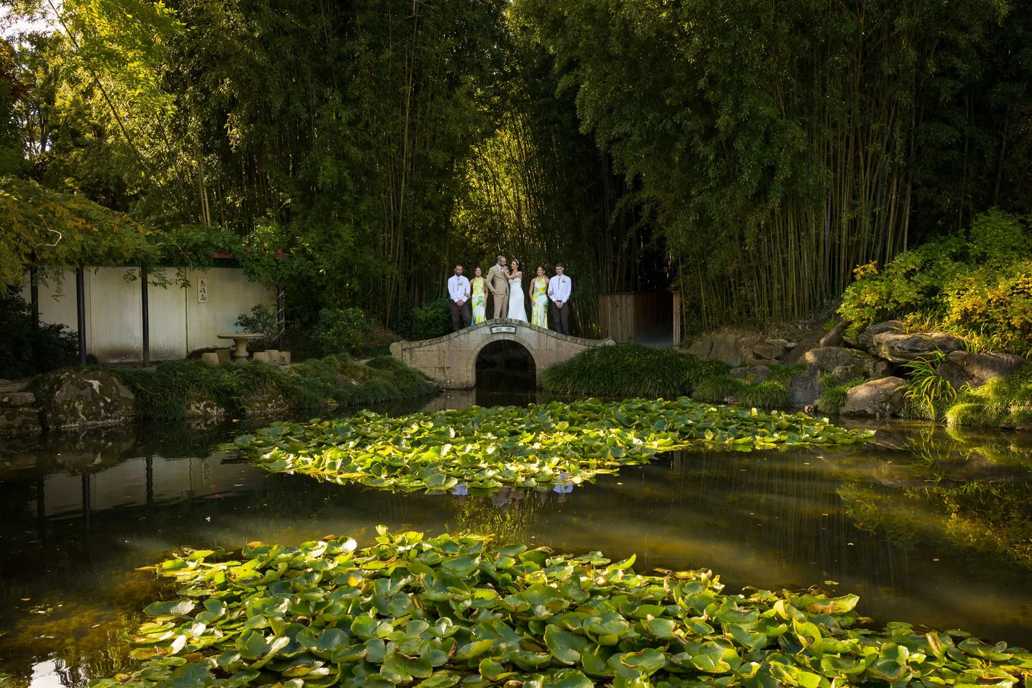 A pond and garden pavilion in the Chinese garden at Hamilton Gardens