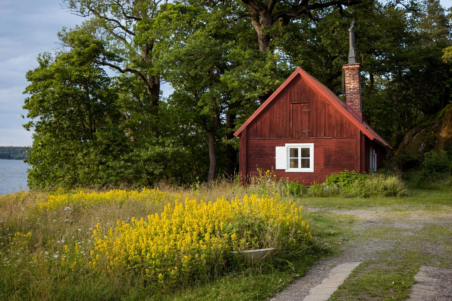 A red wooden cottage beside a meadow of yellow wildflowers in Stockholm