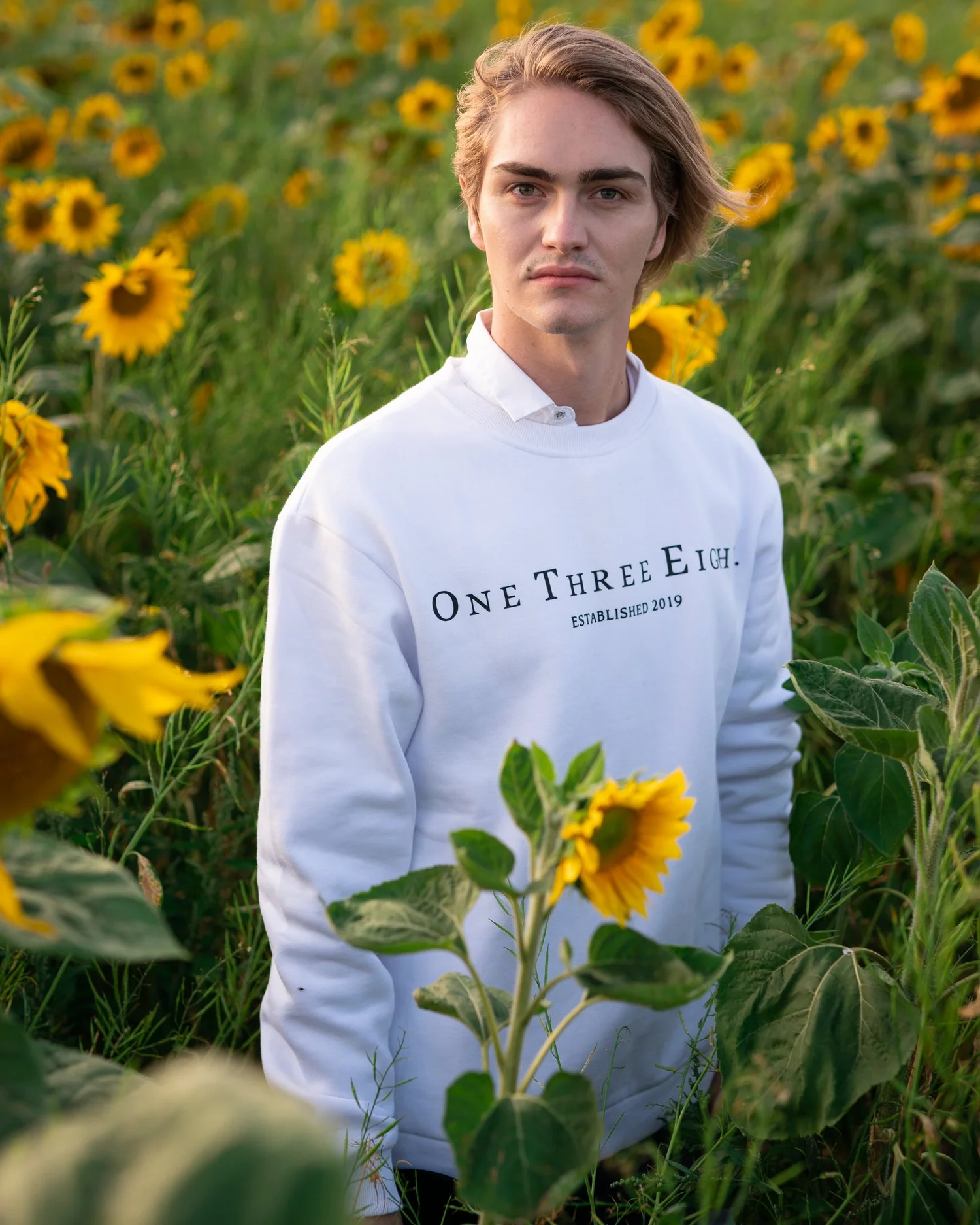 A young man in a white jumper among sunflowers