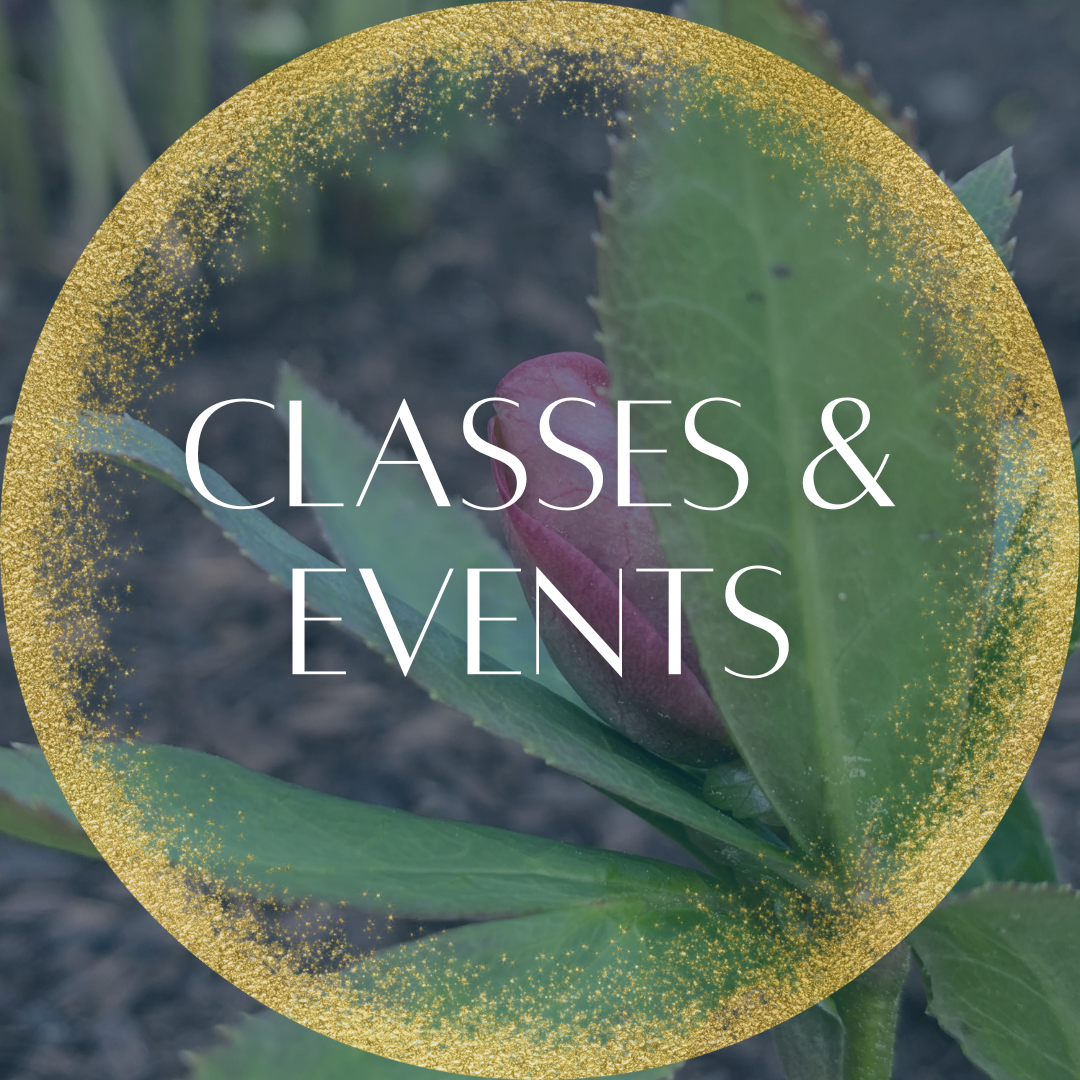 Copy of Essences.png