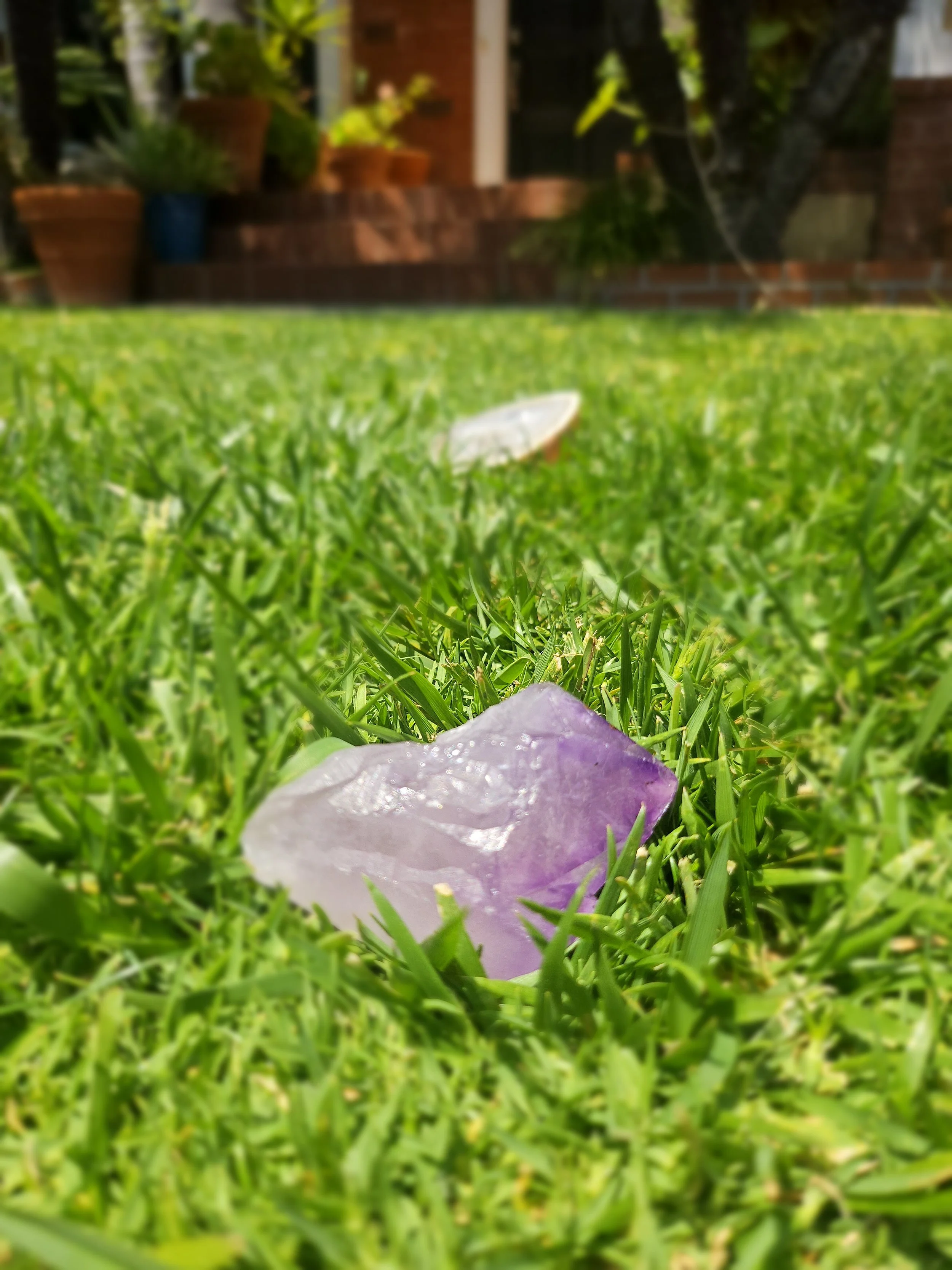 20240423_125936.jpg