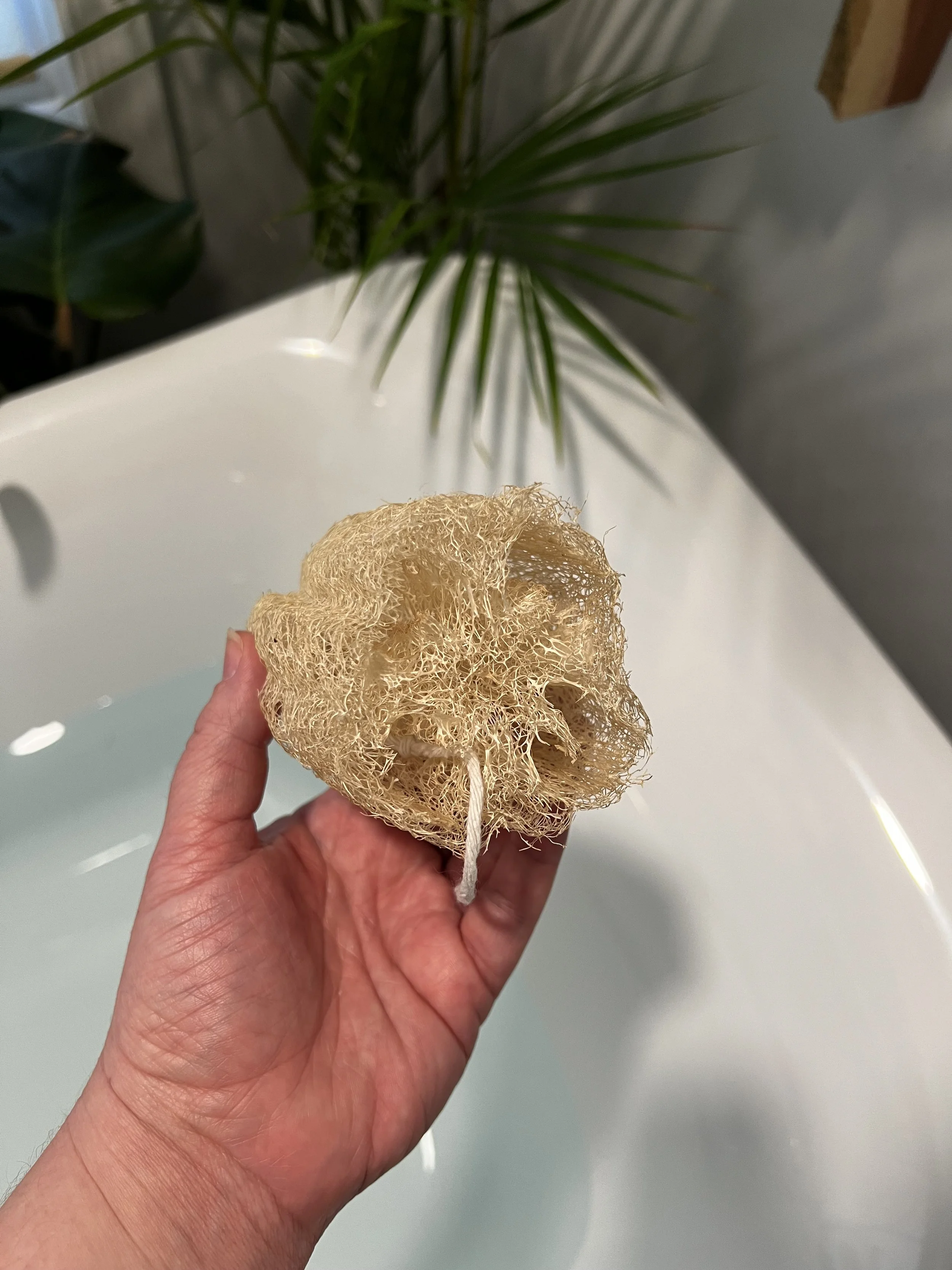 Natural Luffa Sponge