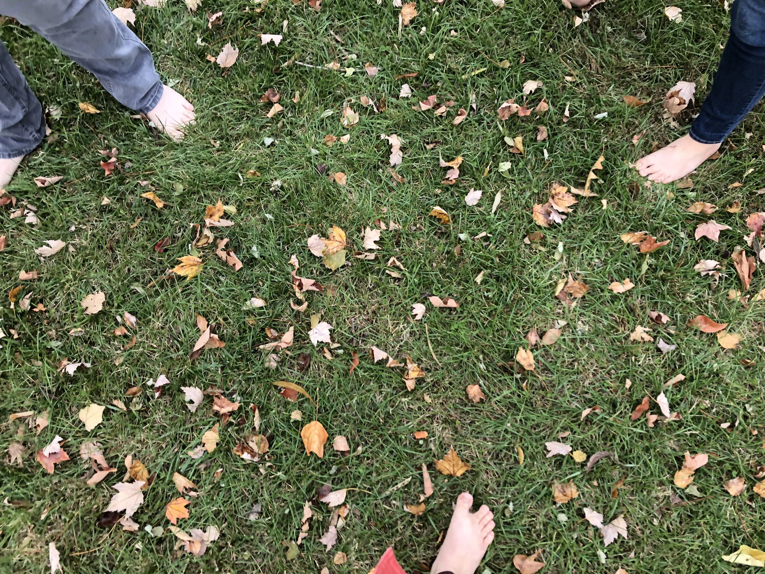 The Magical World Beneath Your Feet