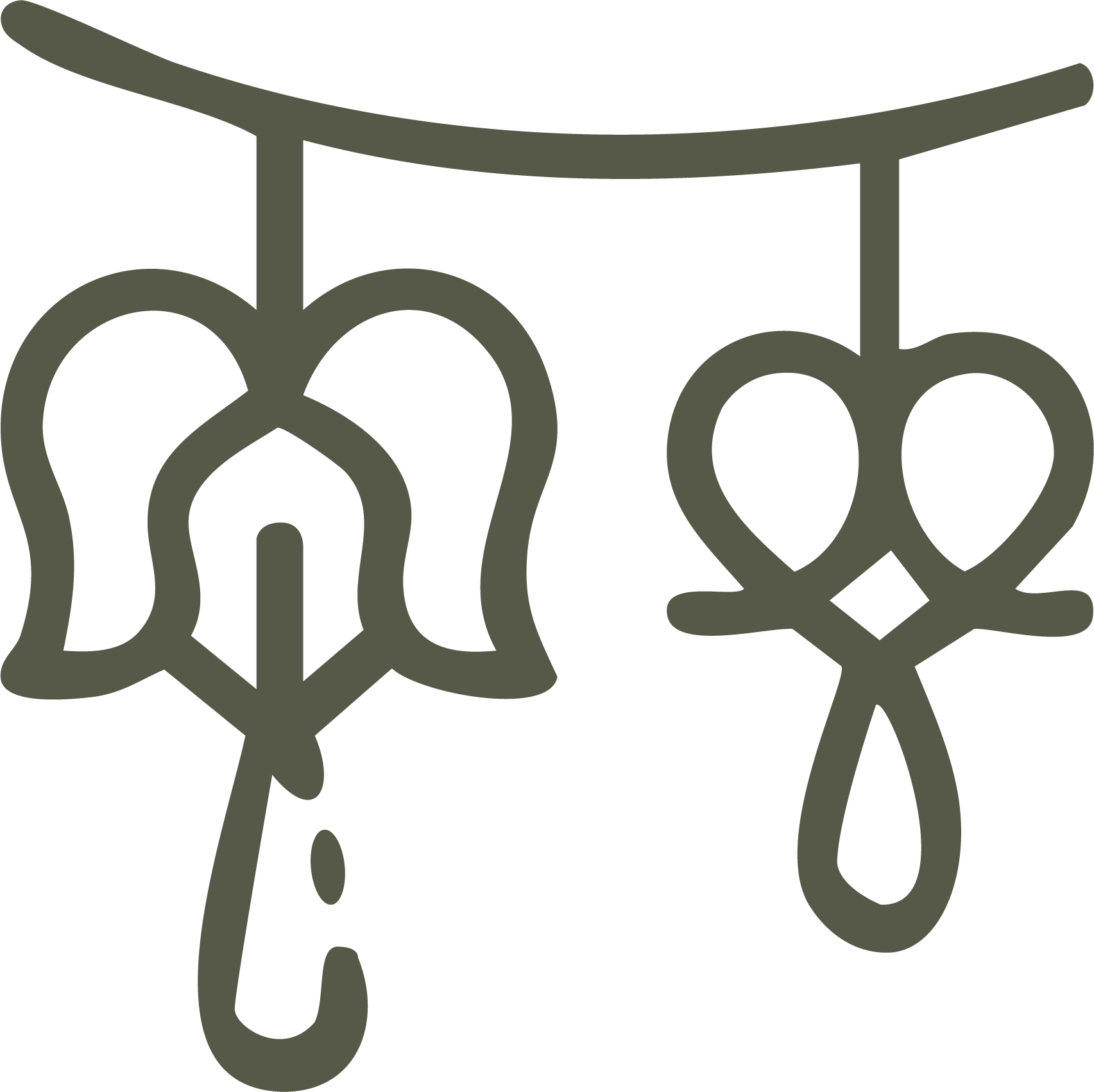 A line drawing of a vine with flowers hanging down