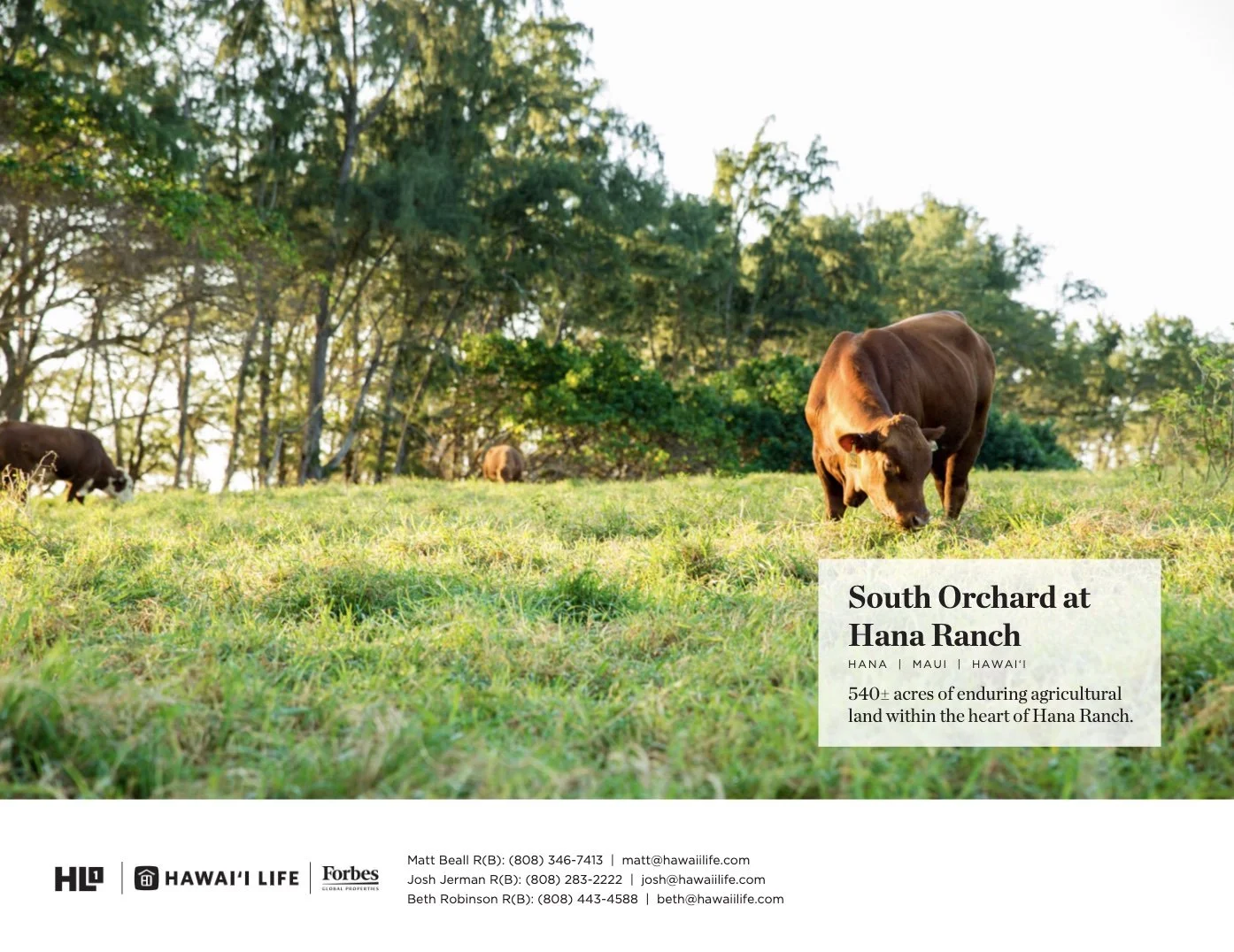 South Orchard | Separate Offering