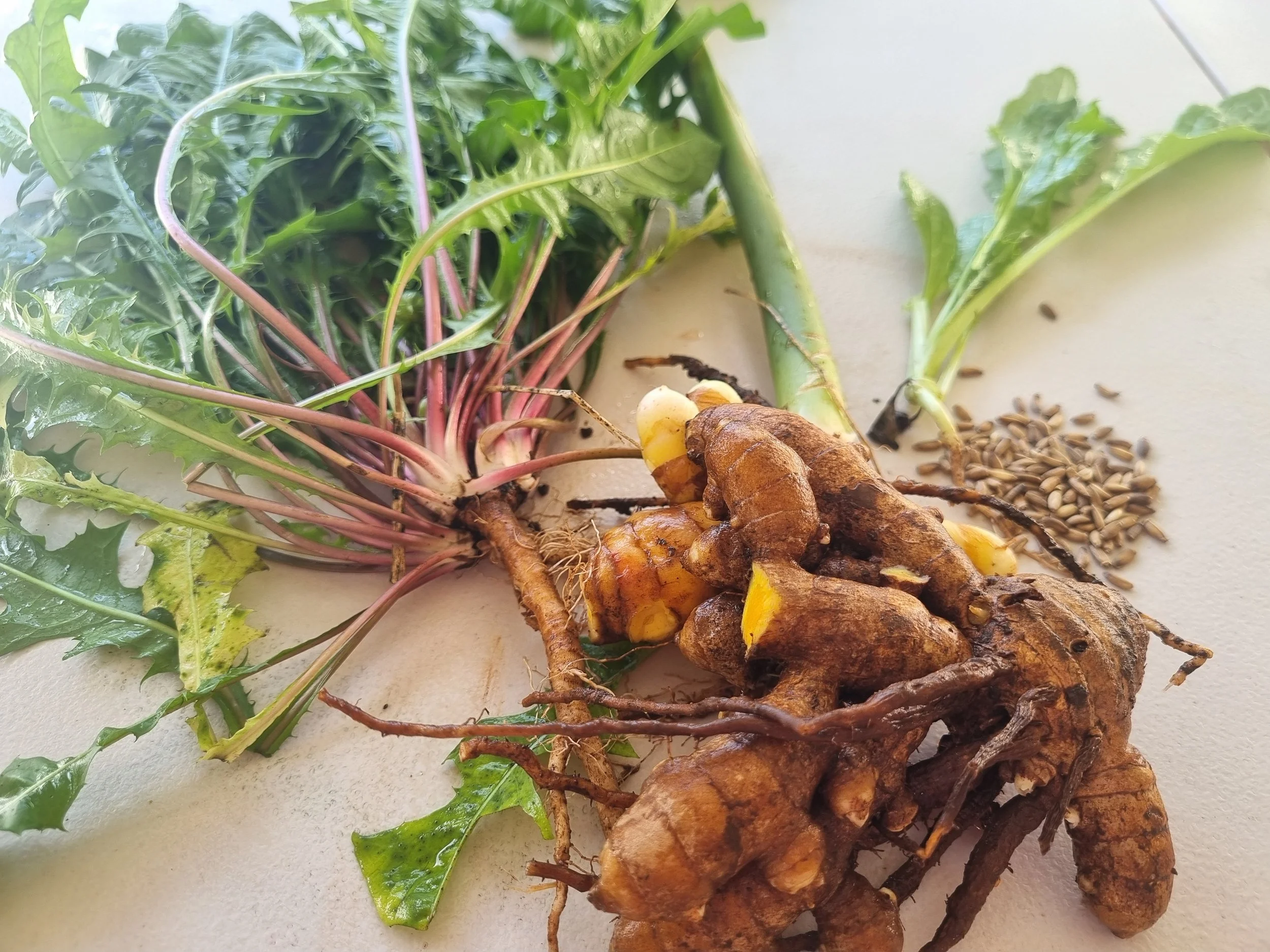 The Importance of a Healthy “Detoxed” Liver