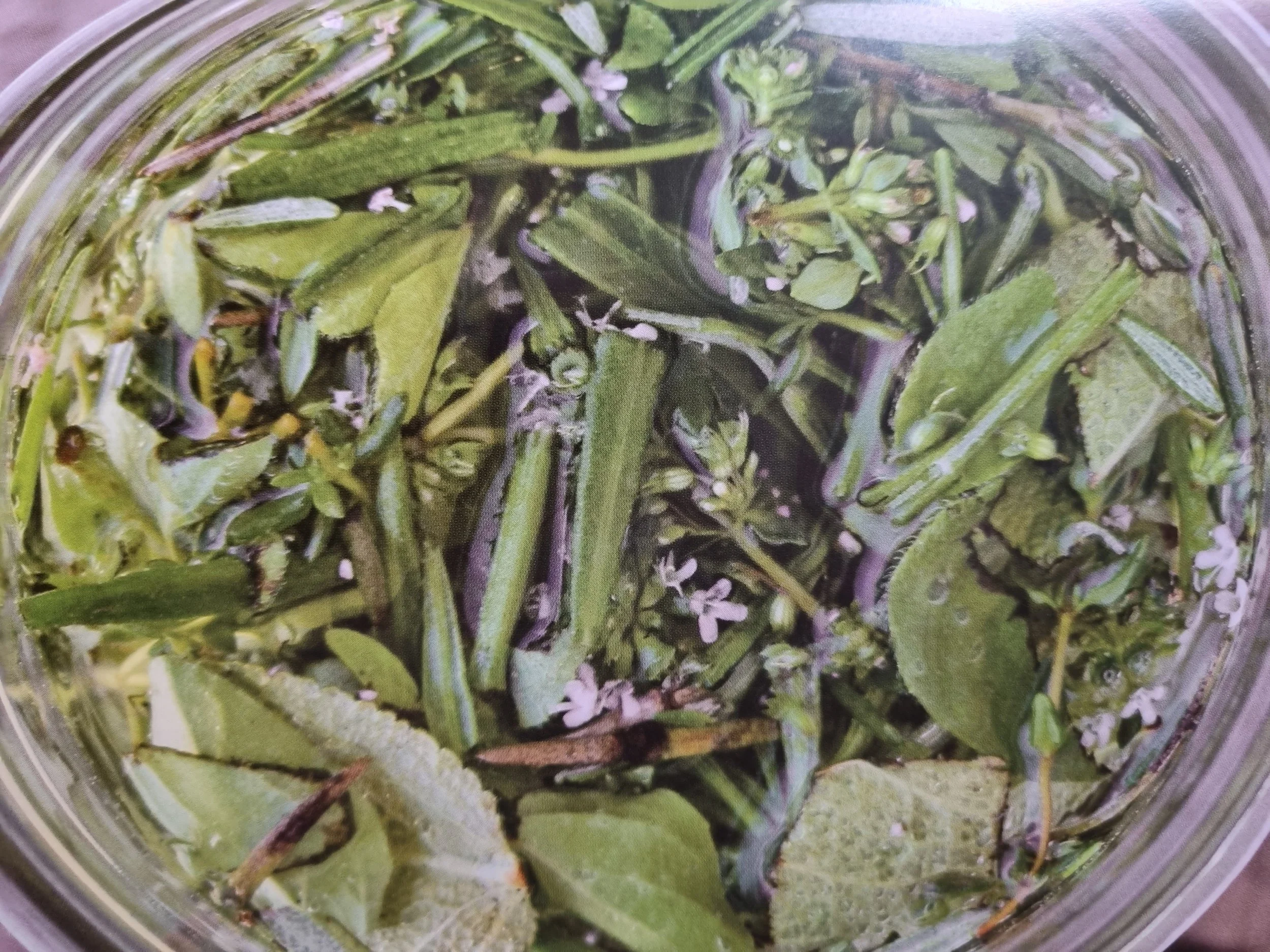 Could Parasites Be the Missing Link in Your Digestive Health?